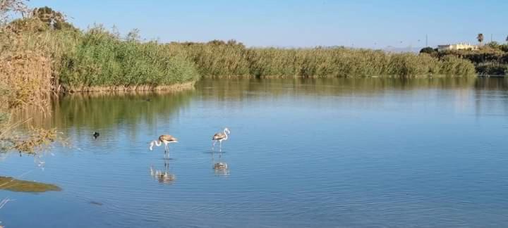 Апартаменты Vera Natura Apartamento Laura Экстерьер фото